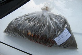 WSR - Accertamento qualita' ambientale